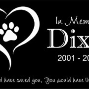 Personalized-Pet-Stone-Memorial-Marker-Granite-Marker-Dog-Cat-Horse-Bird-Human-6-X-10-Personalised-Yorkshire-Terrier-Weimaraners-0-1