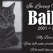 Personalized-Pet-Stone-Memorial-Marker-Granite-Marker-Dog-Cat-Horse-Bird-Human-6-X-12-0 Personalized-Pet-Stone-Memorial-Marker-Granite-Marker-Dog-Cat-Horse-Bird-Human-6-X-12-0