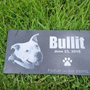 Personalized-Pet-Stone-Memorial-Marker-Granite-Marker-Dog-Cat-Horse-Bird-Human-6-X-12-0-2 Personalized-Pet-Stone-Memorial-Marker-Granite-Marker-Dog-Cat-Horse-Bird-Human-6-X-12-0-2