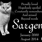 Personalized-White-Cat-Pet-Memorial-12x6-Custom-Engraved-Black-Granite-Grave-Marker-Head-Stone-Plaque-SAR1-0