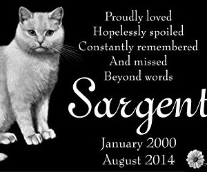 Personalized-White-Cat-Pet-Memorial-12x6-Custom-Engraved-Black-Granite-Grave-Marker-Head-Stone-Plaque-SAR1-0