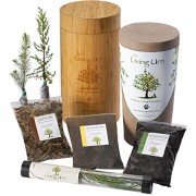 The-Living-Urn-Planting-System-0 The-Living-Urn-Planting-System-0