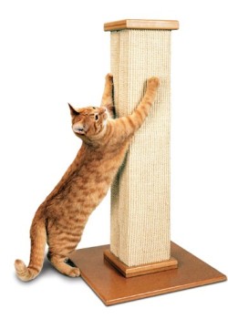 SmartCat-Ultimate-Scratching-Post-0-0 SmartCat-Ultimate-Scratching-Post-0-0