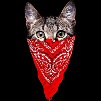 Gangster-Cat-Juniors-Medium-Black-Graphic-Tank-Top-Design-By-Humans-0-0 Gangster-Cat-Juniors-Medium-Black-Graphic-Tank-Top-Design-By-Humans-0-0