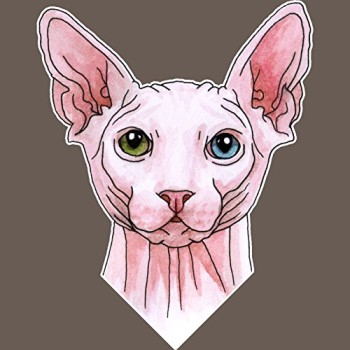 Sphynx-cat-portrait-Womens-Medium-Gray-Heather-Racerback-Tank-Top-0-0